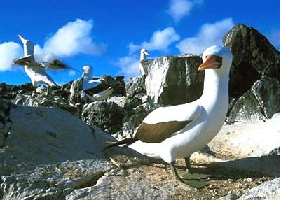  Islas Galápagos